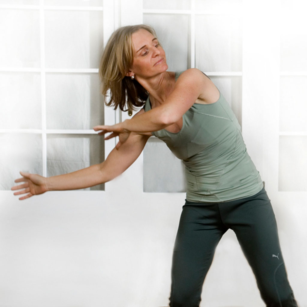 Rock-Solid Yoga Vinyasa: Using Isometrics to Stabilize Your Flow -  YogaUOnline